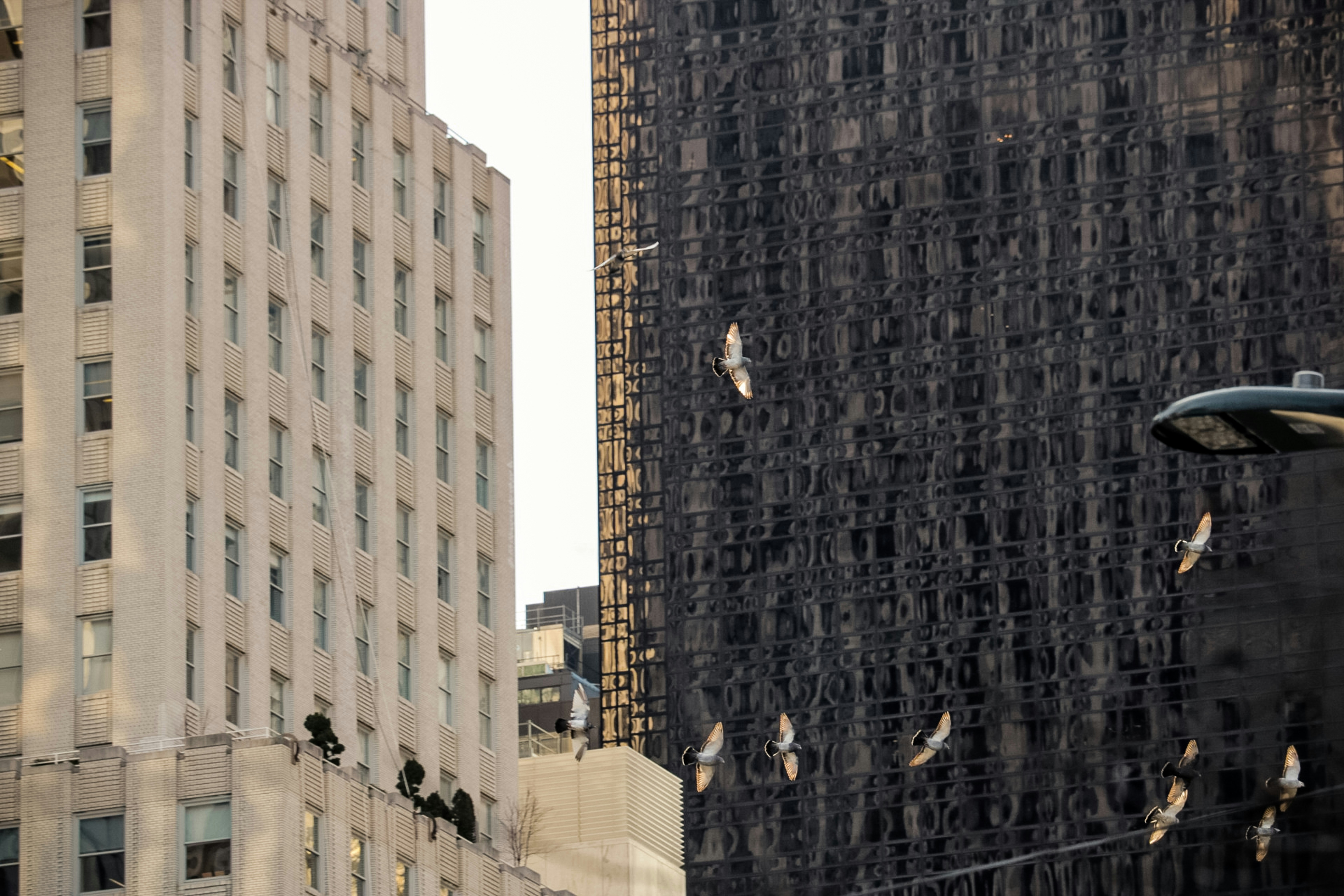 Photo by sebastiaanstam