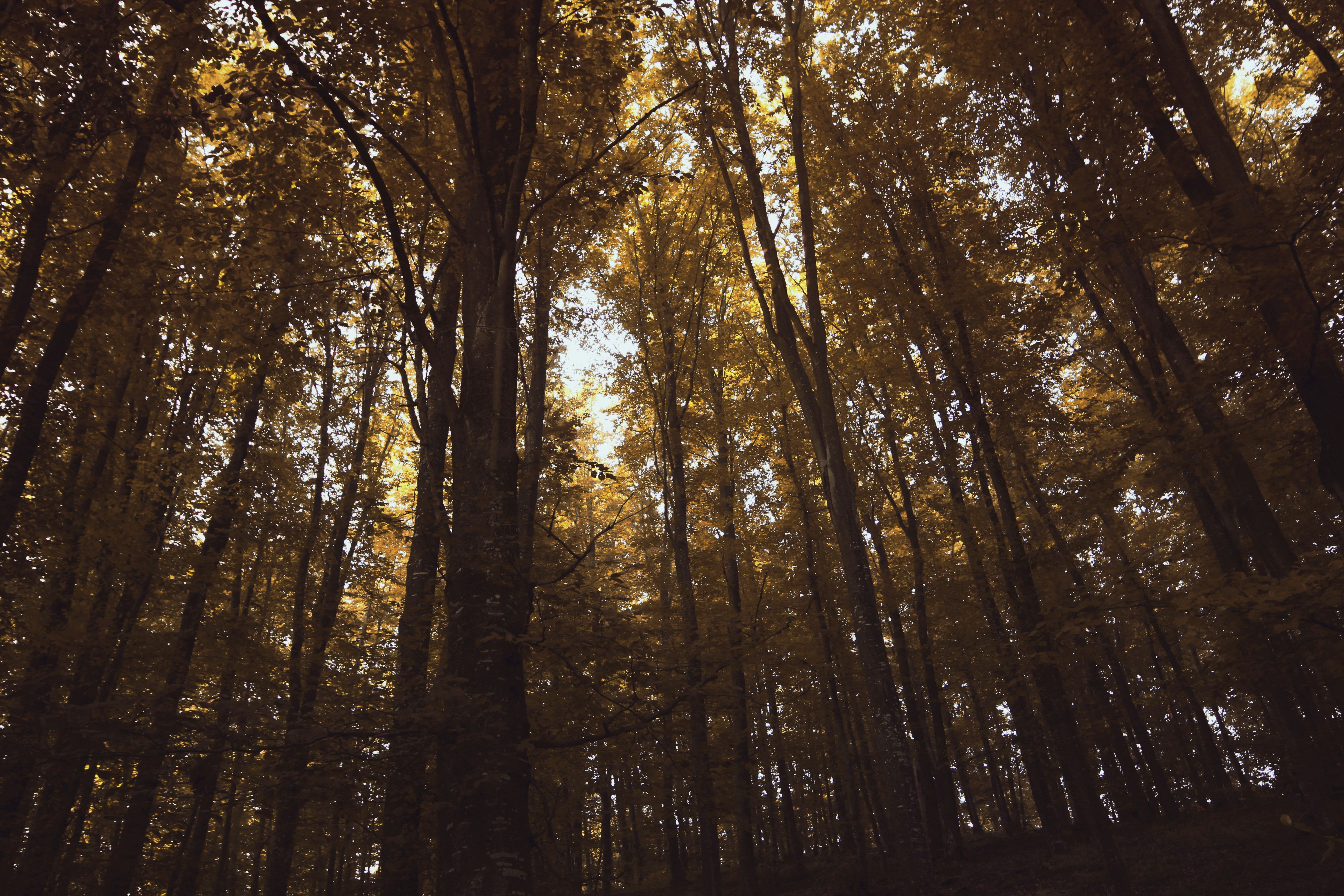 Photo by madhatterzone