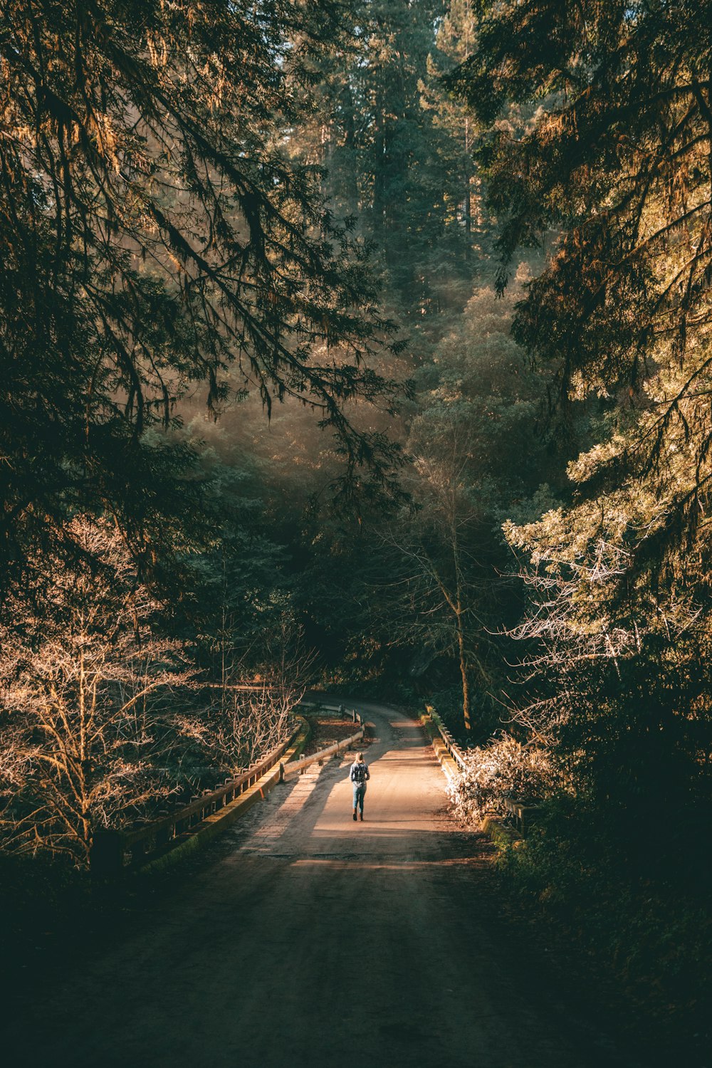 person running on bridge during daytime