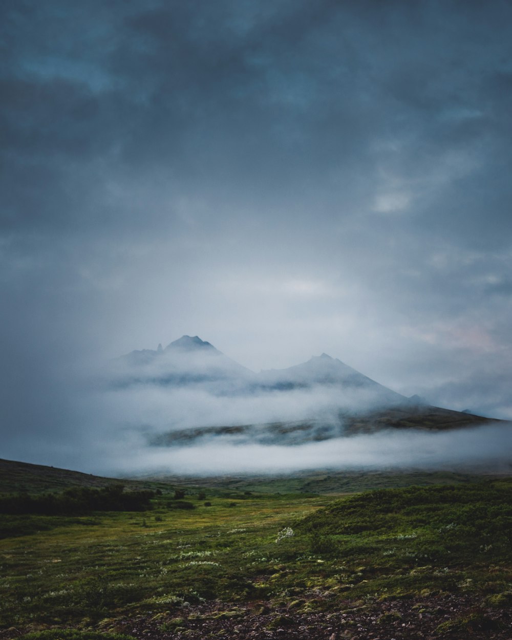 green grass field covered with fog