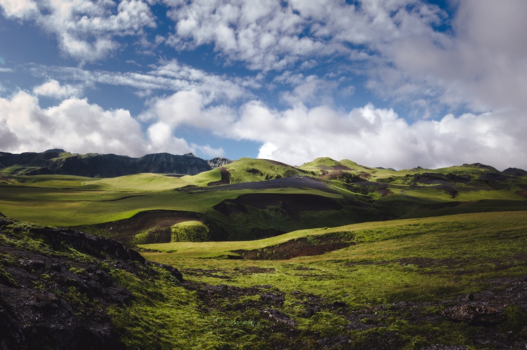 green open field under dramatic clouds during daytime