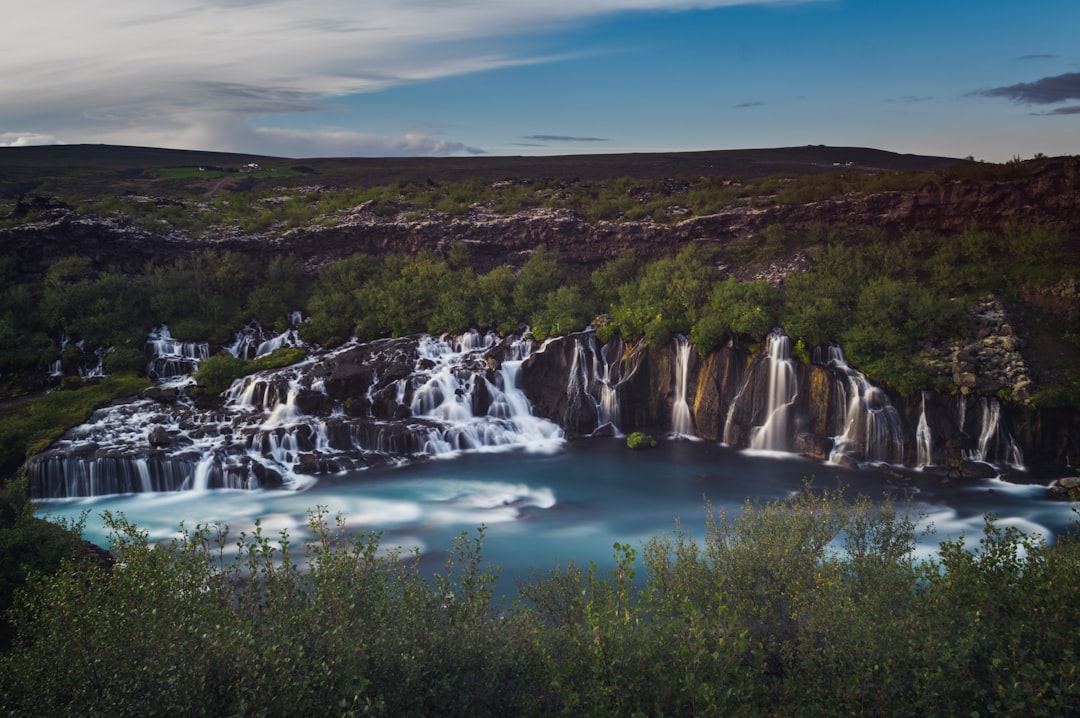 cascading waterfalls at middle of forest