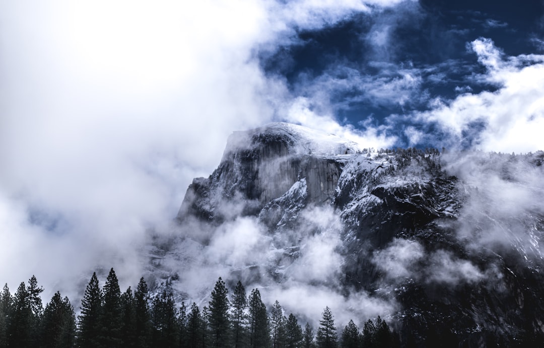 pine trees near mountain under white clouds