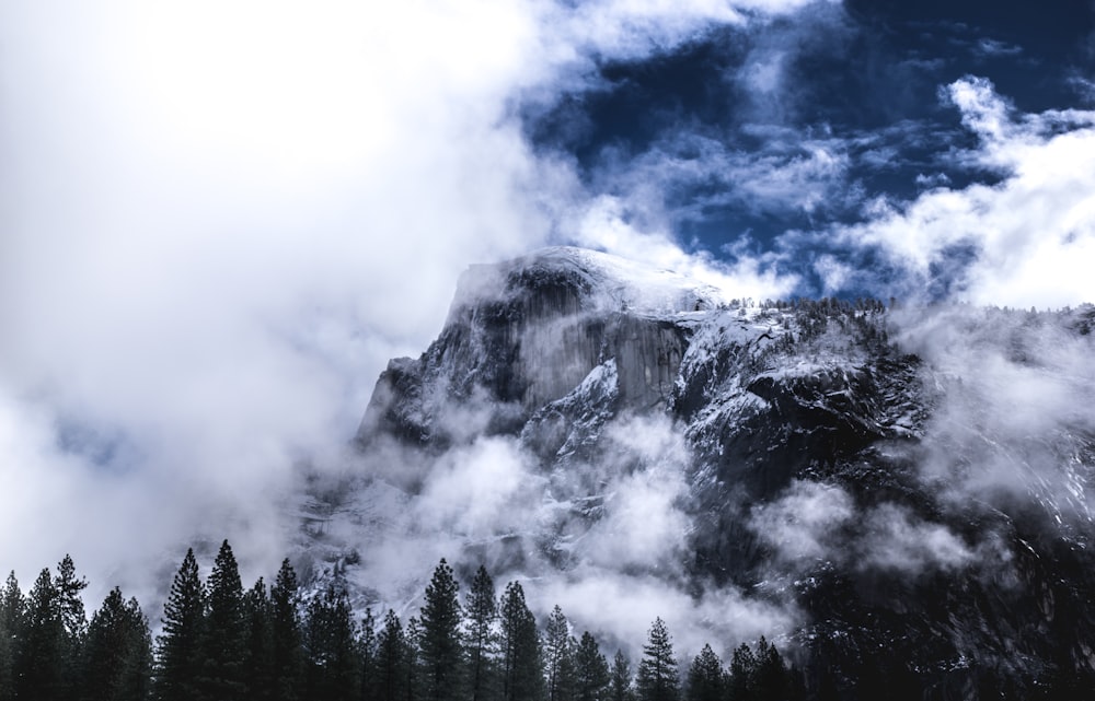 pine trees near mountain under white clouds