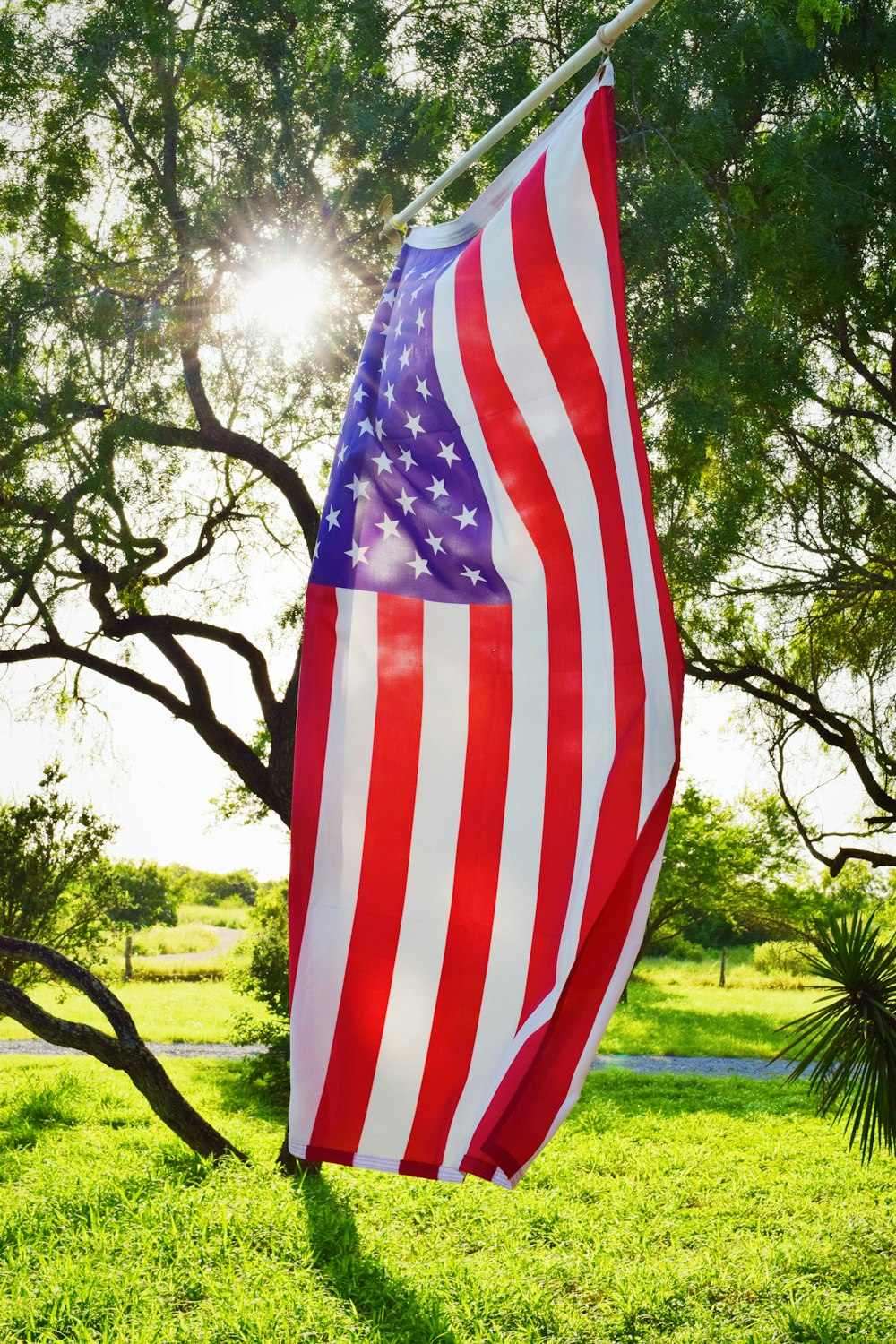 U.S.A flag hanging on pole while sunlight piercing through trees