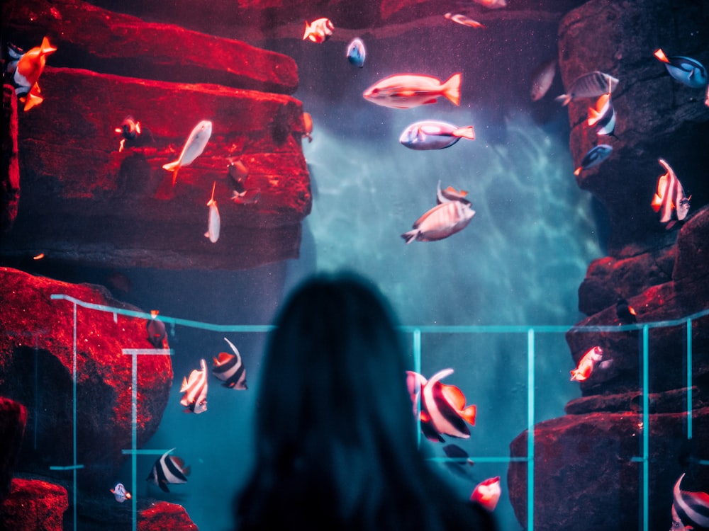 woman standing in front of aquarium