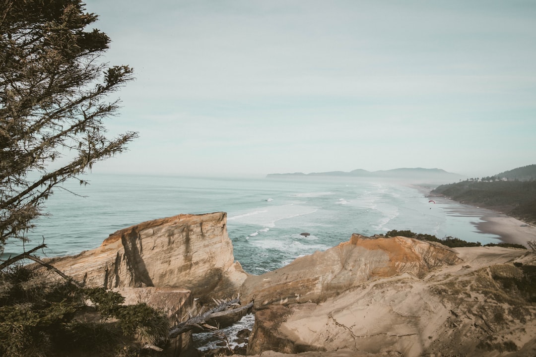 Discover 6 Foraging-Friendly Destinations for Culinary Adventurers… — Discover 6 Foraging-Friendly Destinations for C...