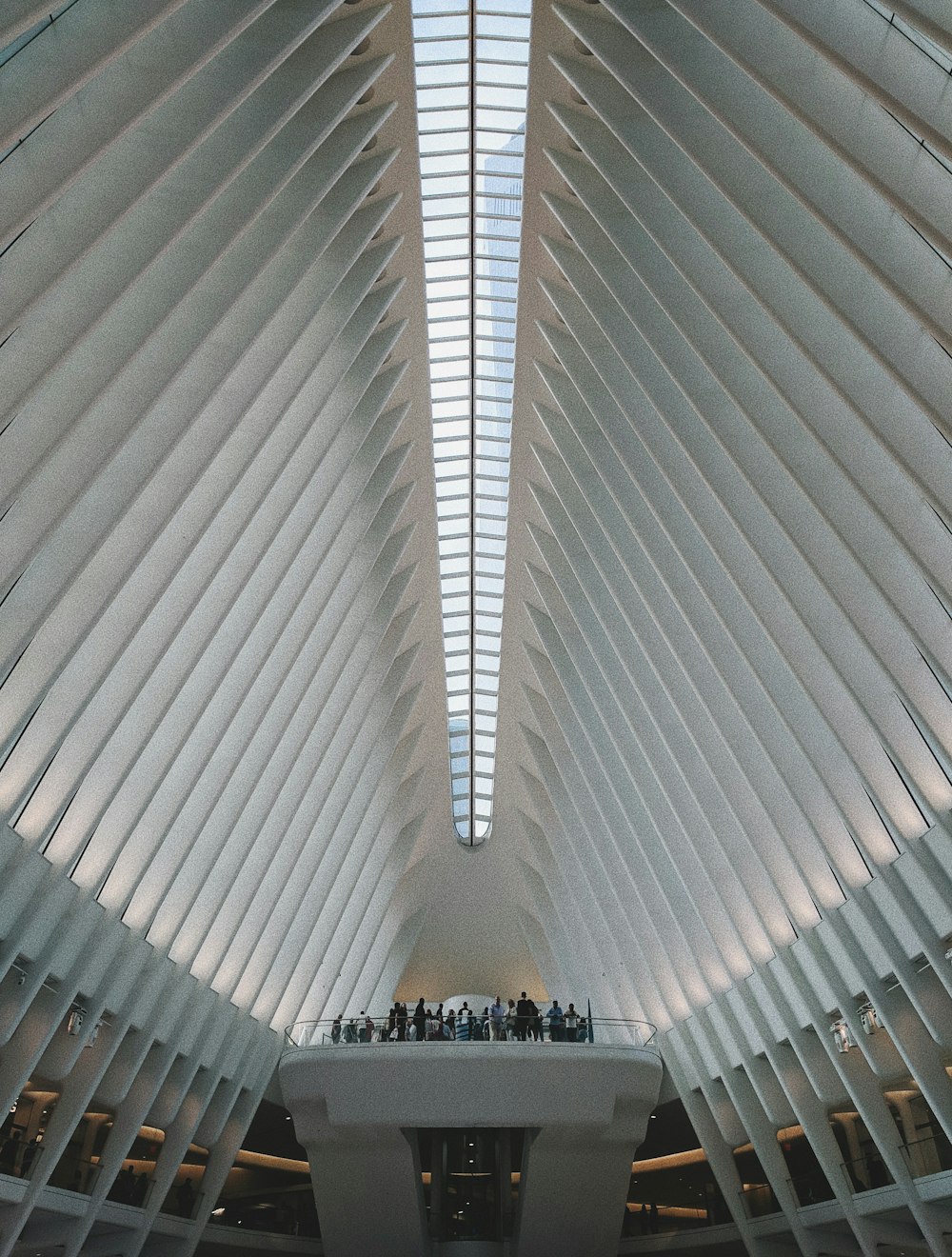 architectural photography of people standing inside building