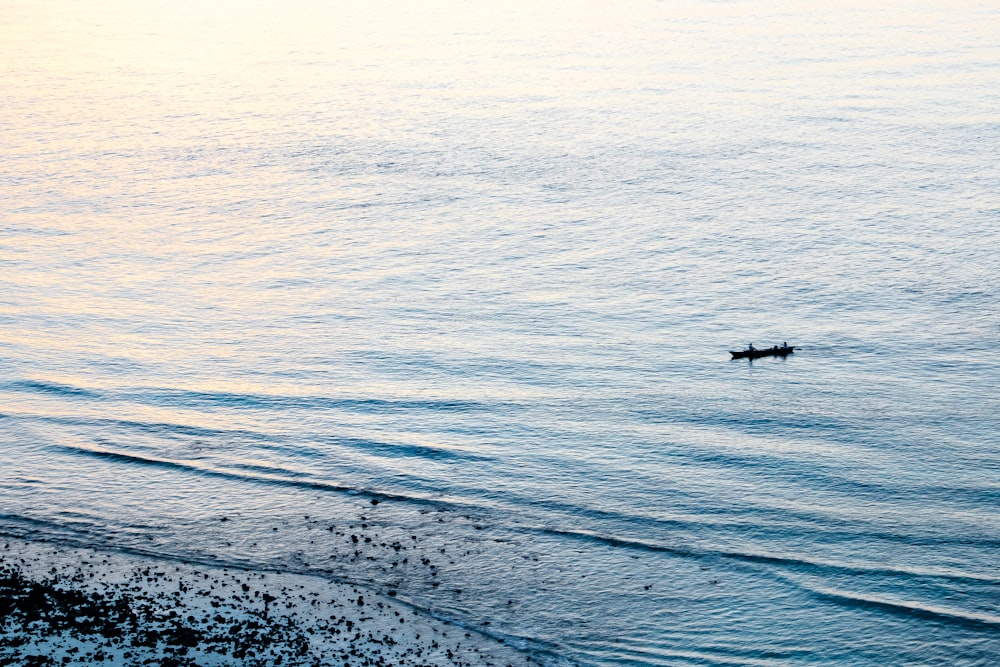 black stick floating on body of water during daytime