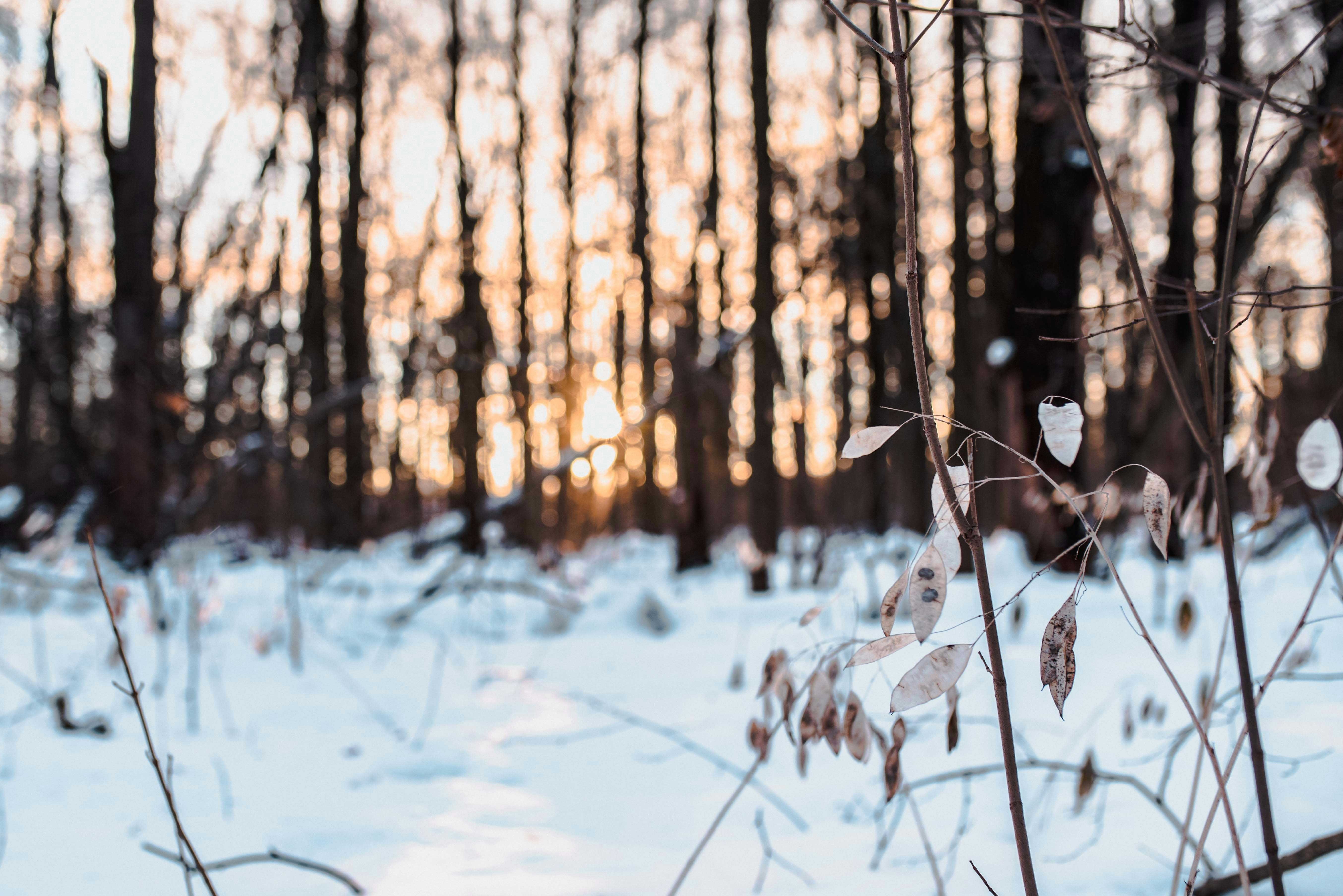 Photo by aurelien_romain