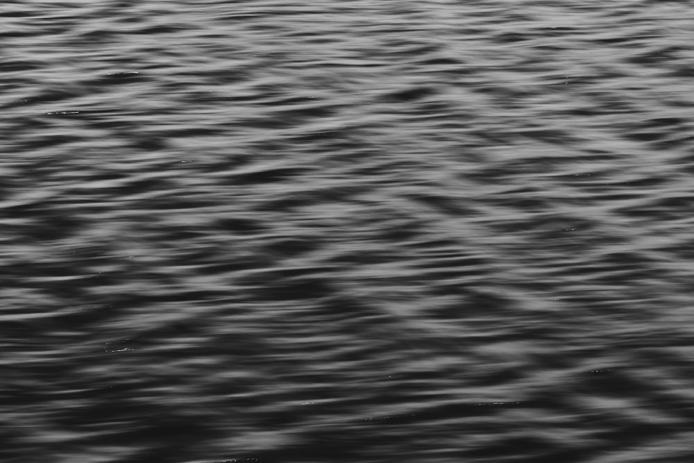 a black and white photo of a body of water