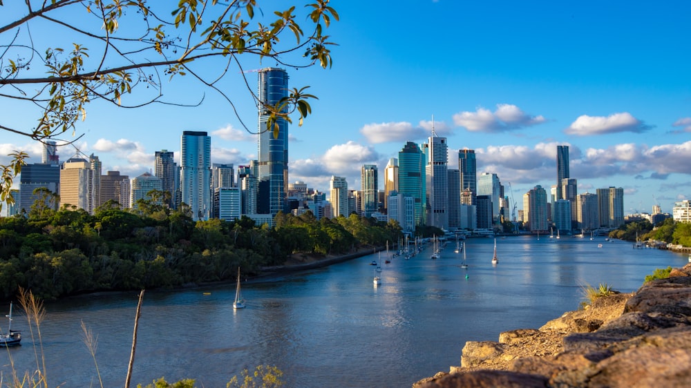 high-rise buildings near body of water during daytime