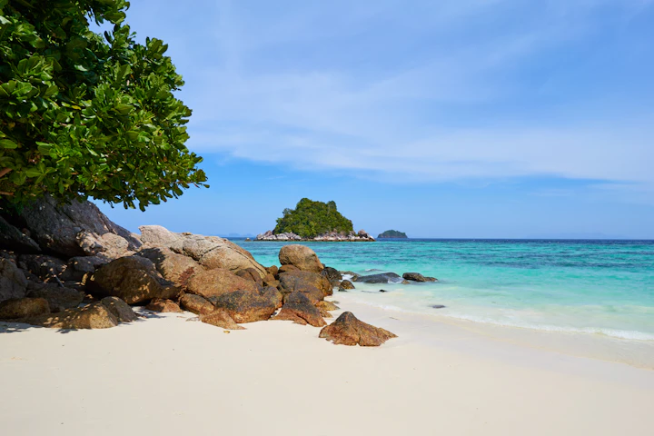 Pokok dan batu di tepi laut