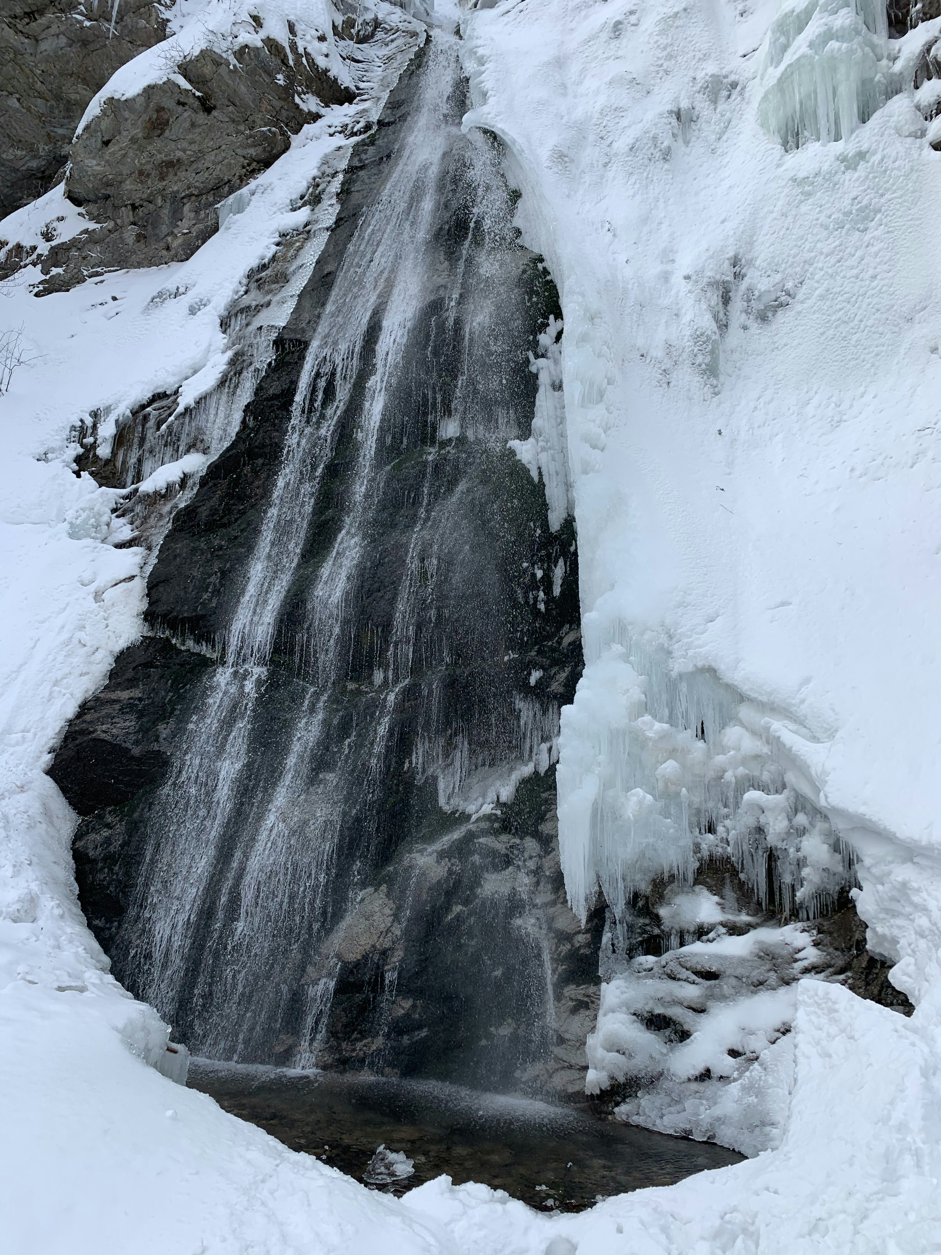 Patrik Celko Porast Unsplash Photo Community