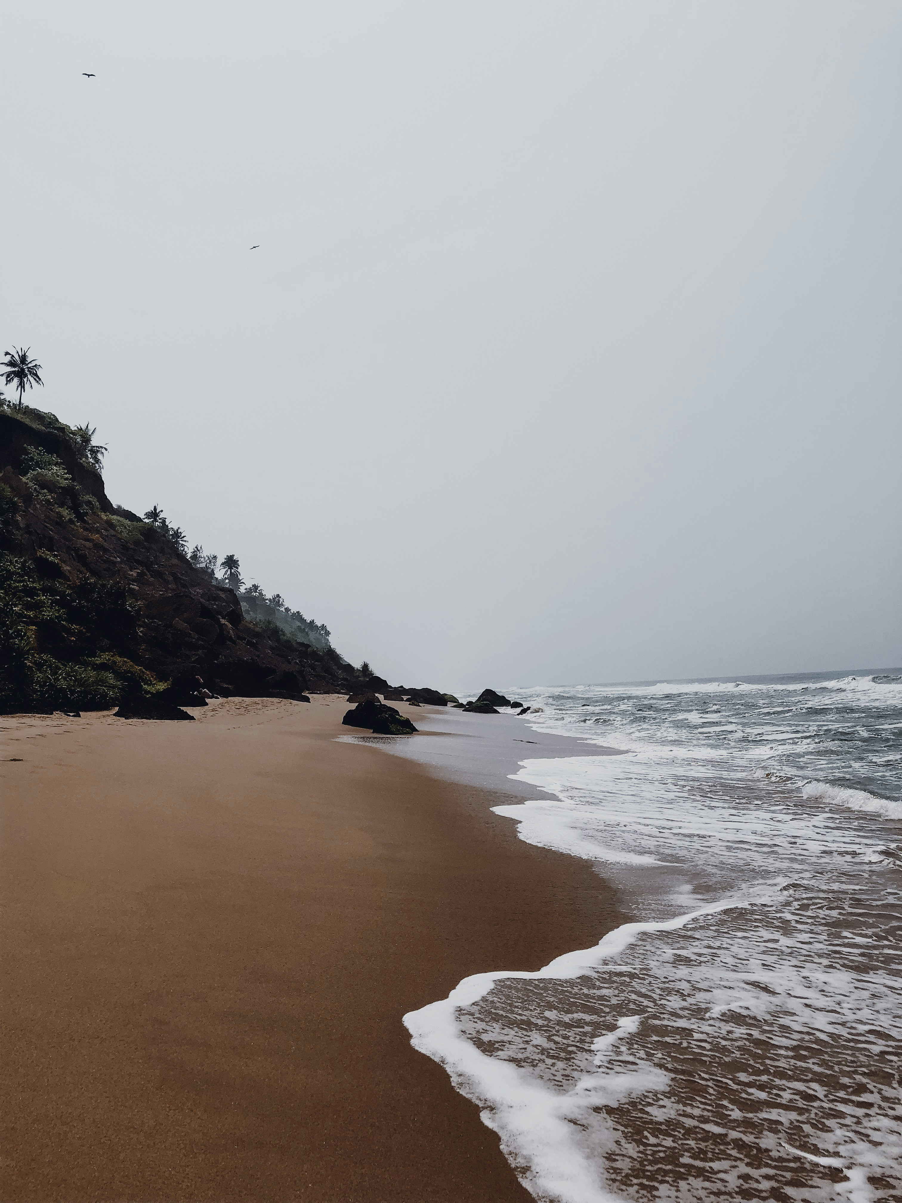 Photo by januprasad