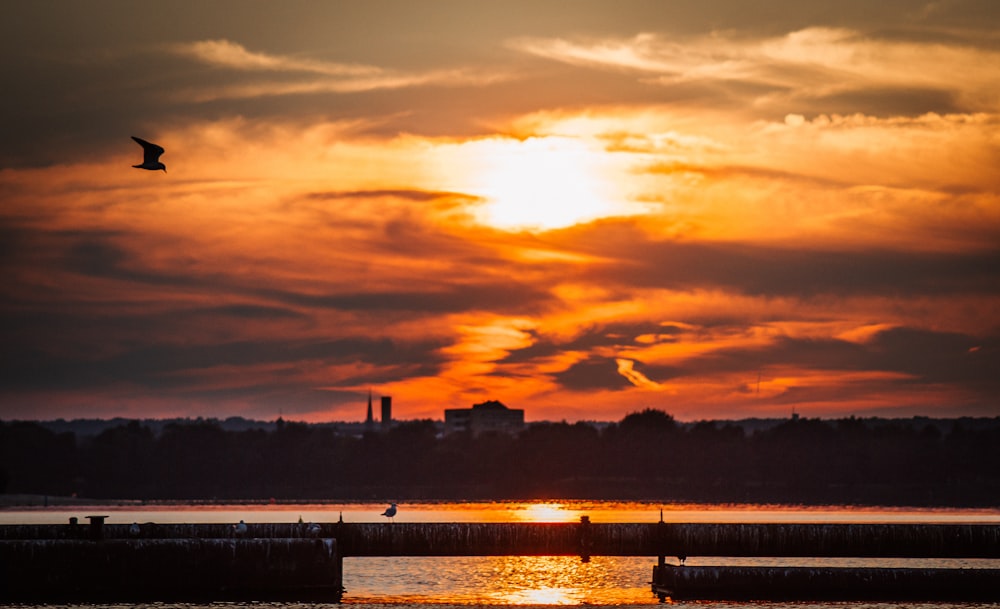 silhouette of building and body of water during golden hour