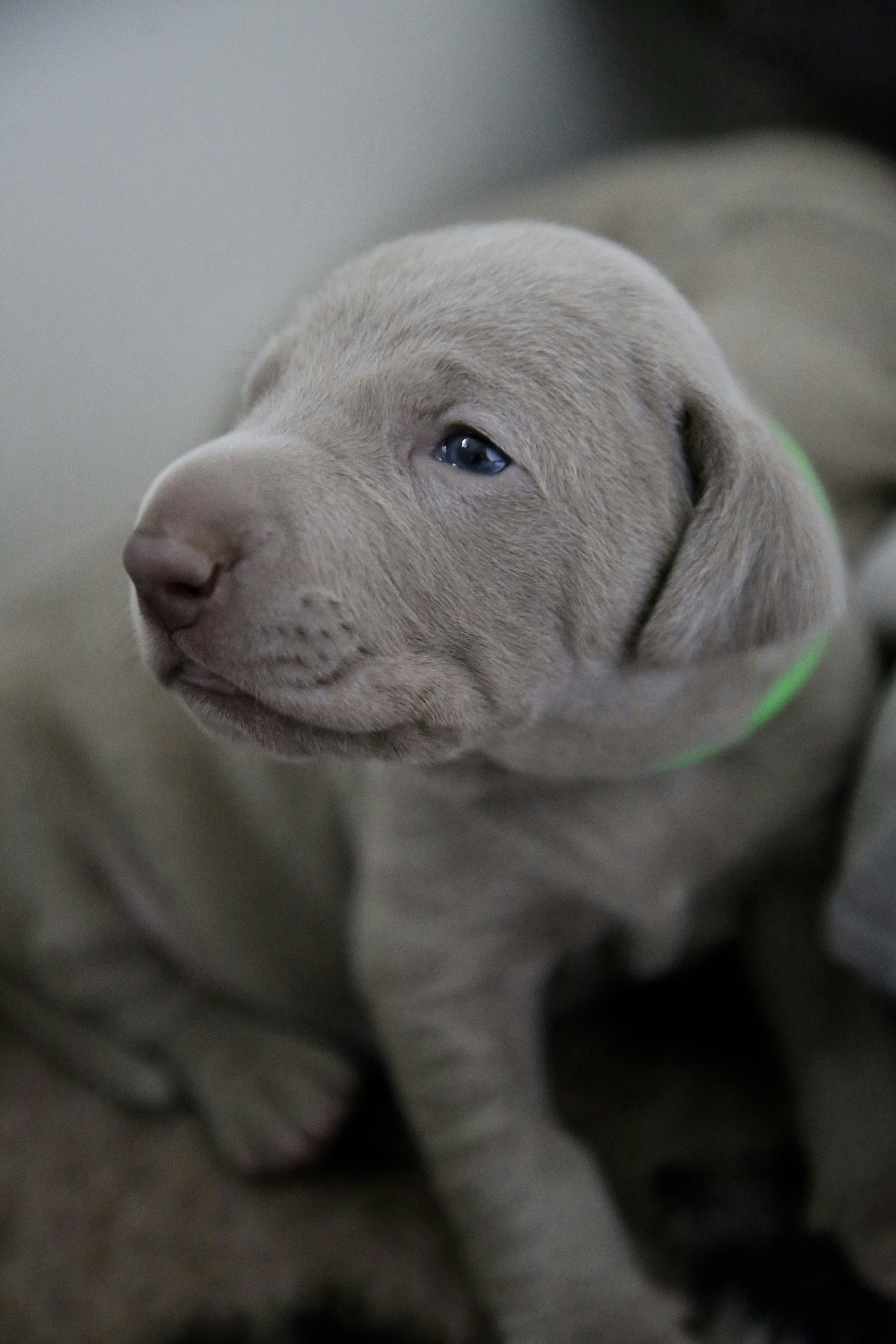 Photo by nathalie_spehner