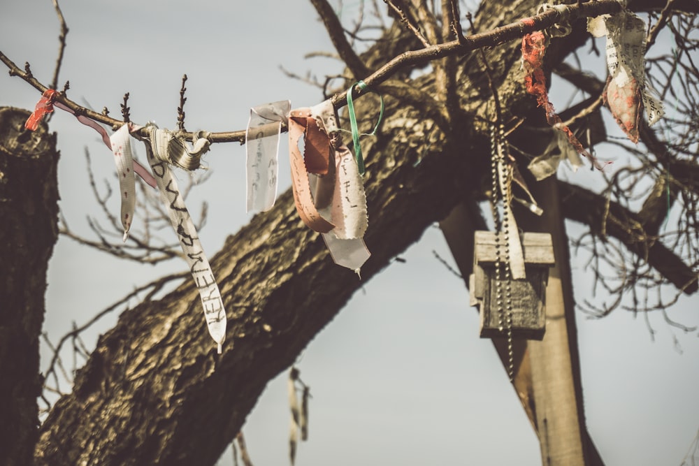 hanging textiles on tree branch under white sky