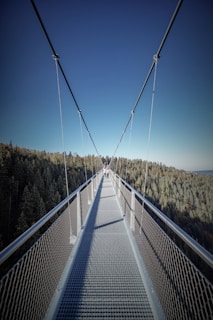 hanging bridge under blue sky