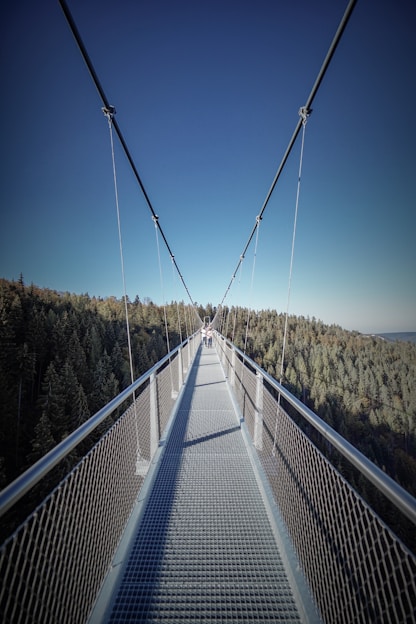 hanging bridge under blue sky
