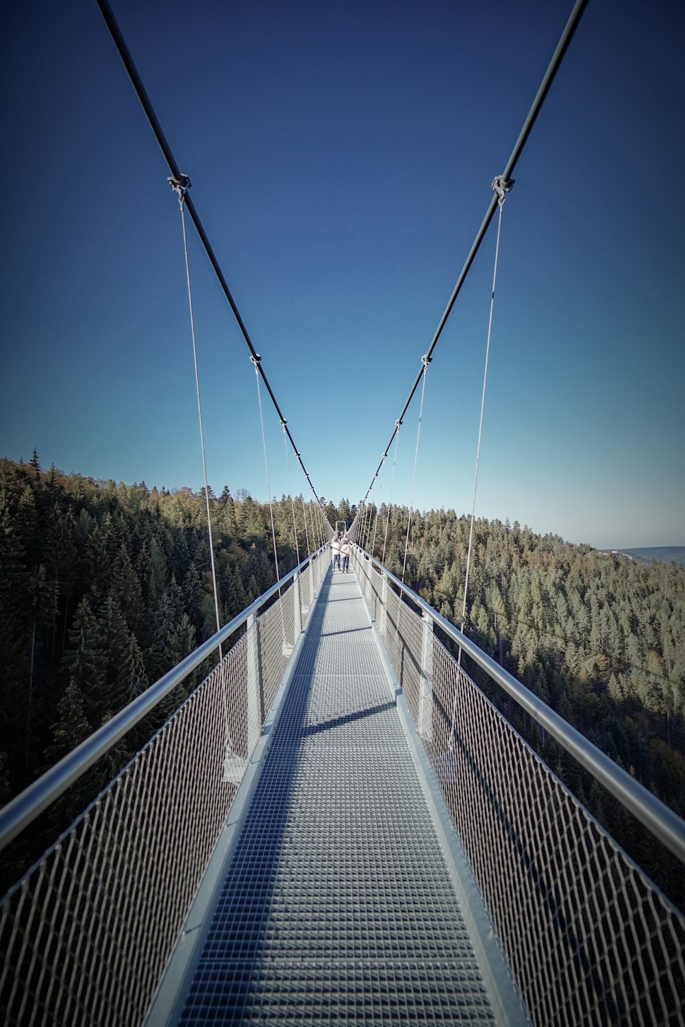 Puente colgante bajo el cielo azul