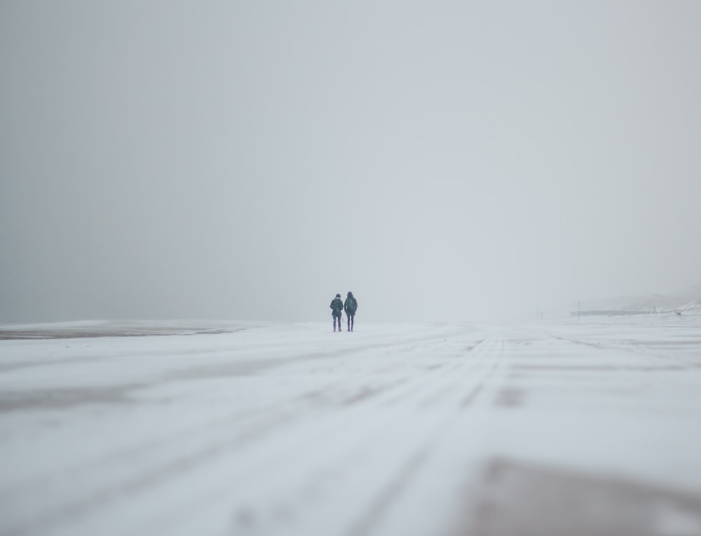 two person walking on road during snow