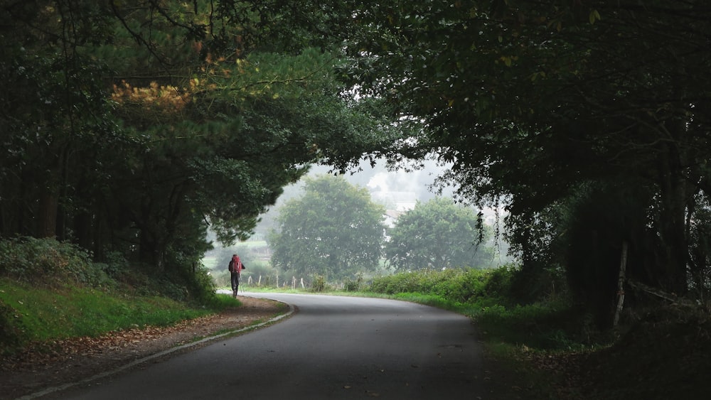 person walking towards trees