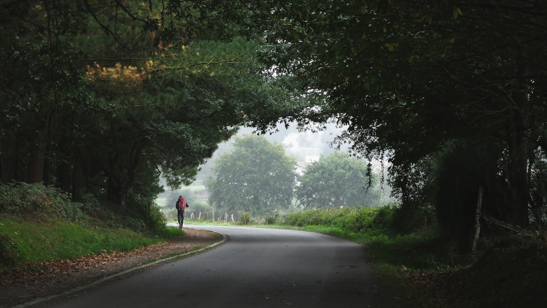 person walking towards trees,