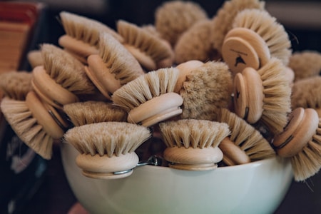 A collection of round wooden scrub brushes with light bristles is gathered in a white container. Each brush is densely packed, providing a textured appearance with natural wood and bristle tones.