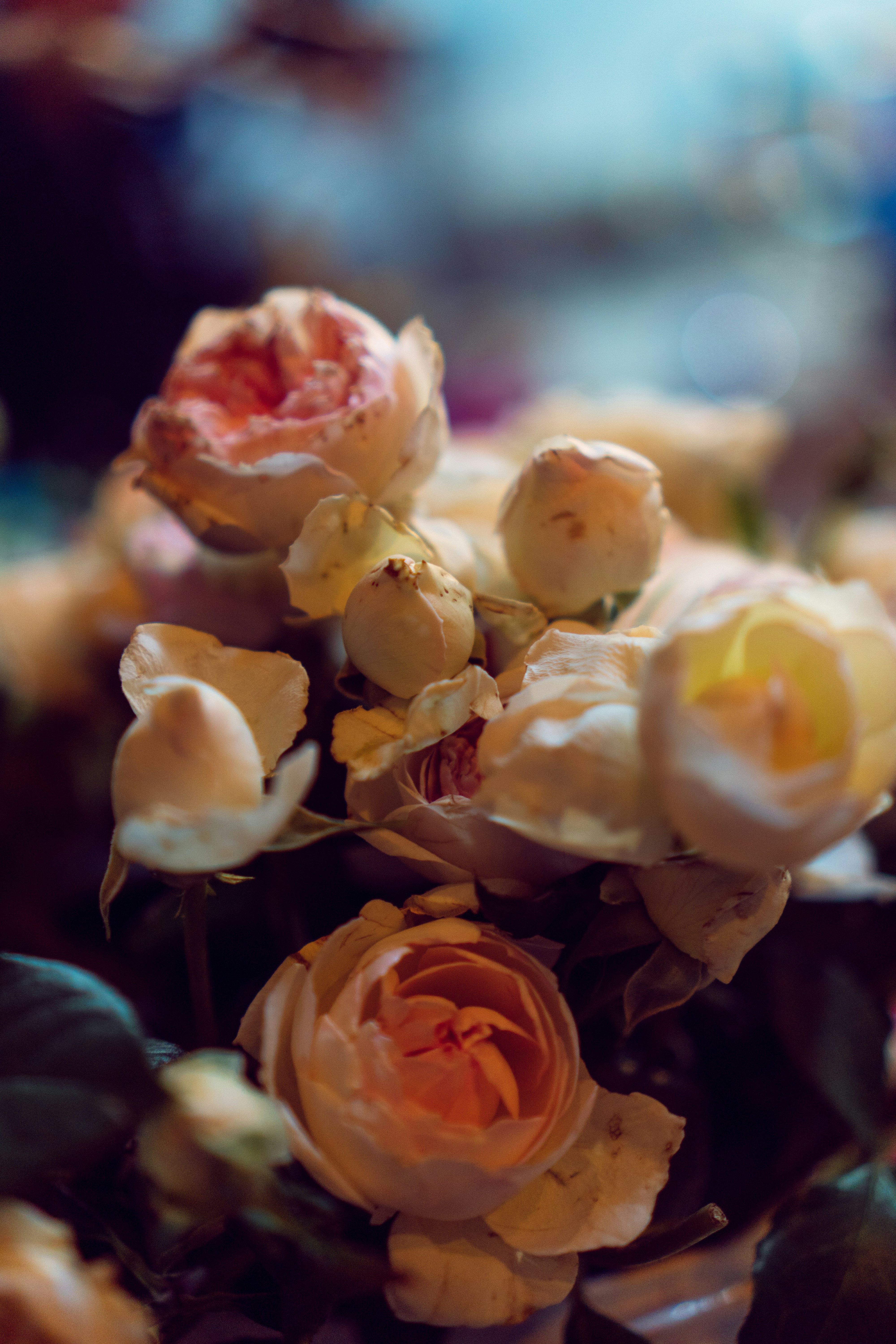 Soft blurred floral in warm cream and peach tones, gentle and prayerful, tender light