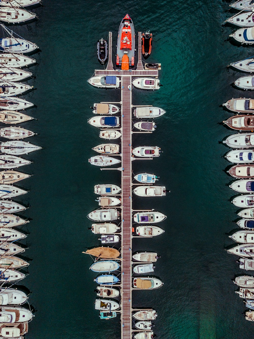 barcos estacionados na água