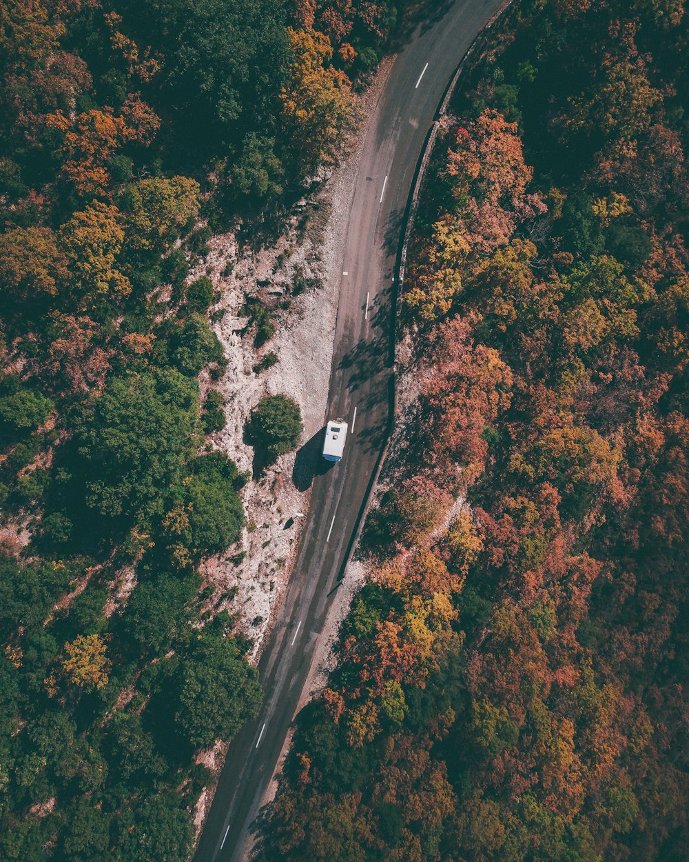 Photographie aérienne d’une voiture blanche passant par une forêt