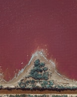 an aerial view of a red lake with a tree in the middle