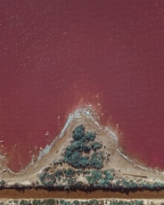 an aerial view of a red lake with a tree in the middle