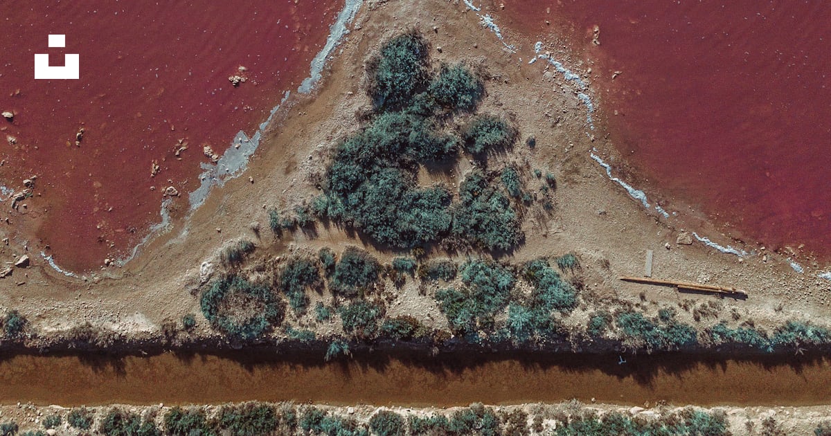 Une vue aérienne d’un lac rouge avec un arbre au milieu photo – Photo ...