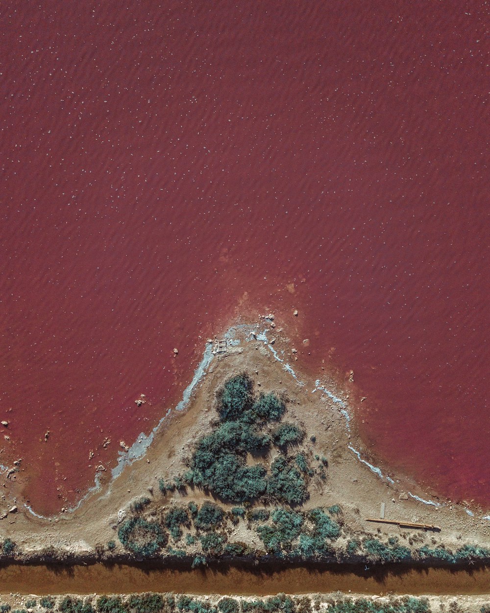 an aerial view of a red lake with a tree in the middle