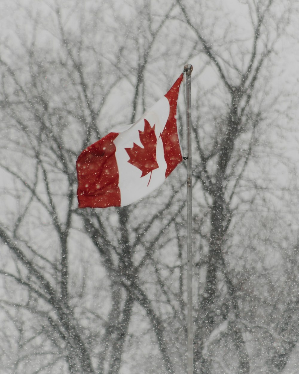 Canada flag