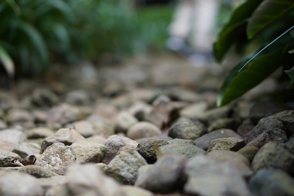 A detailed close-up of a handcrafted garden pathway blending natural stone and greenery