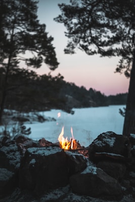 A small campfire burns on a mound of rocks surrounded by a snowy landscape. Tall pine trees frame the scene, with a soft, pastel-colored sky in the background indicating either sunrise or sunset.