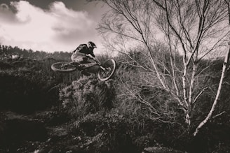 A cyclist wearing protective gear is performing a high jump on a mountain bike over a natural outdoor trail. The surroundings include bare trees and shrubs, capturing an action-packed moment in a serene, natural setting. The sky is partly cloudy, adding depth and contrast to the composition.