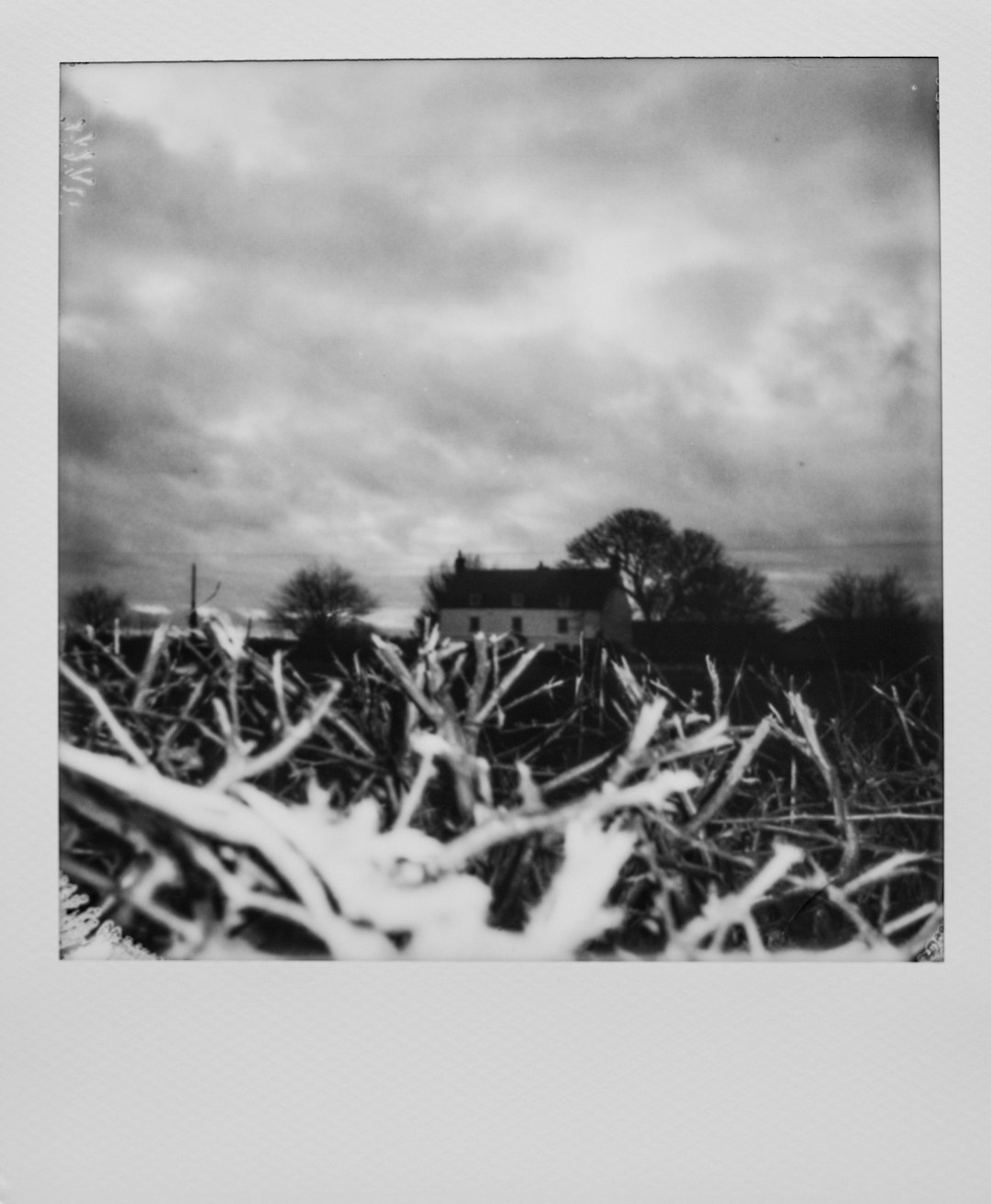 grayscale photo of house near trees