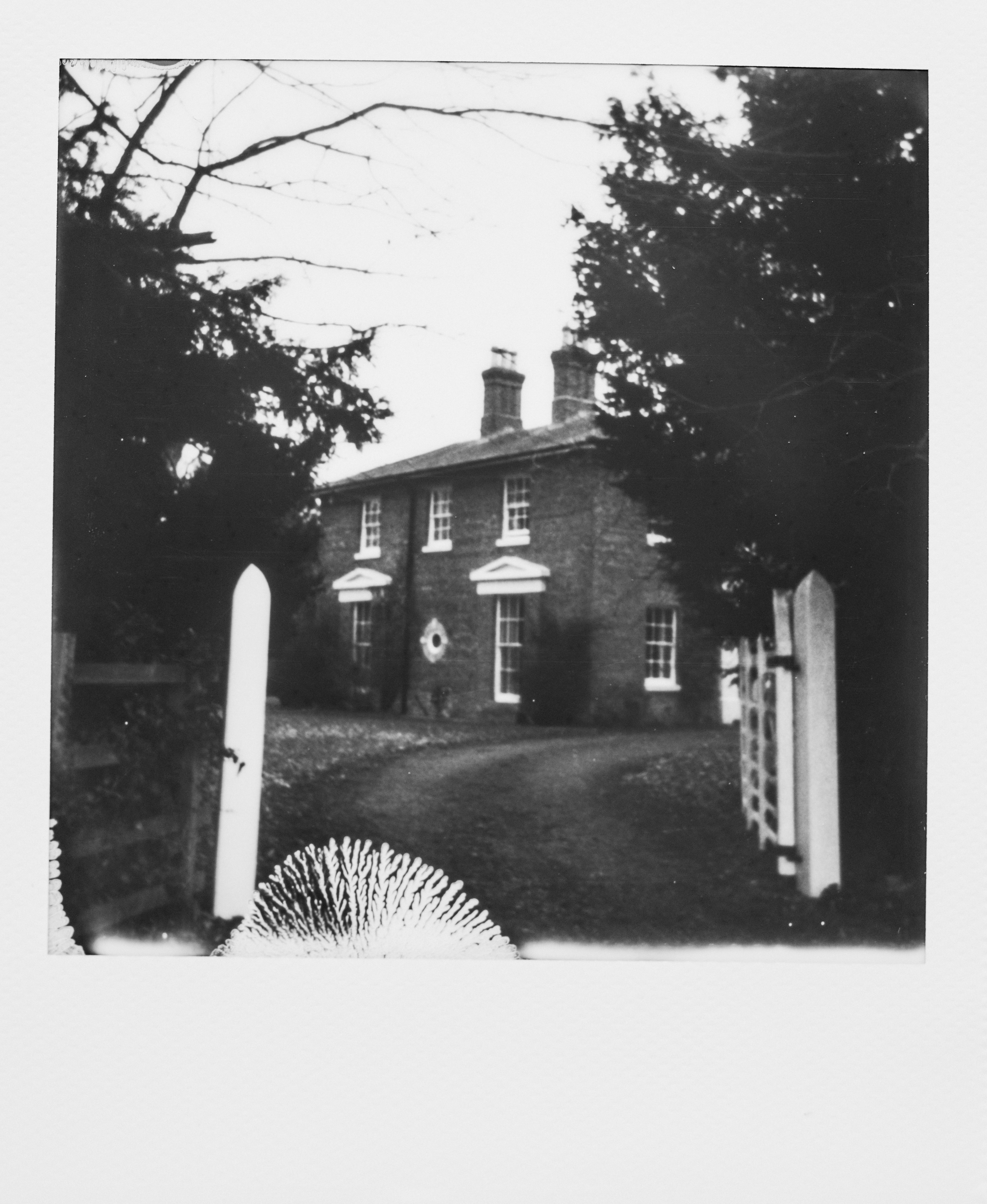 Photo by anniespratt