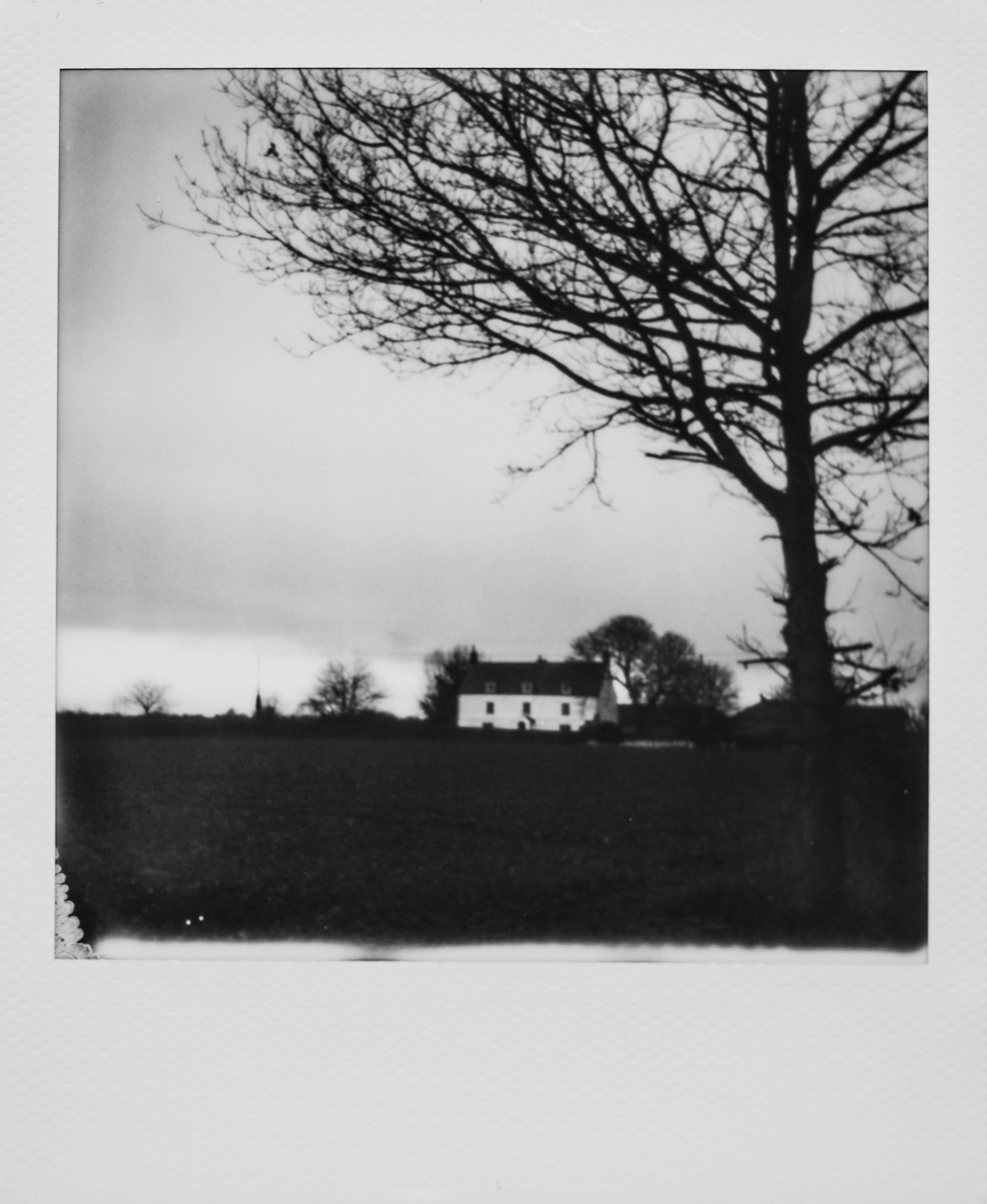 Photo by anniespratt