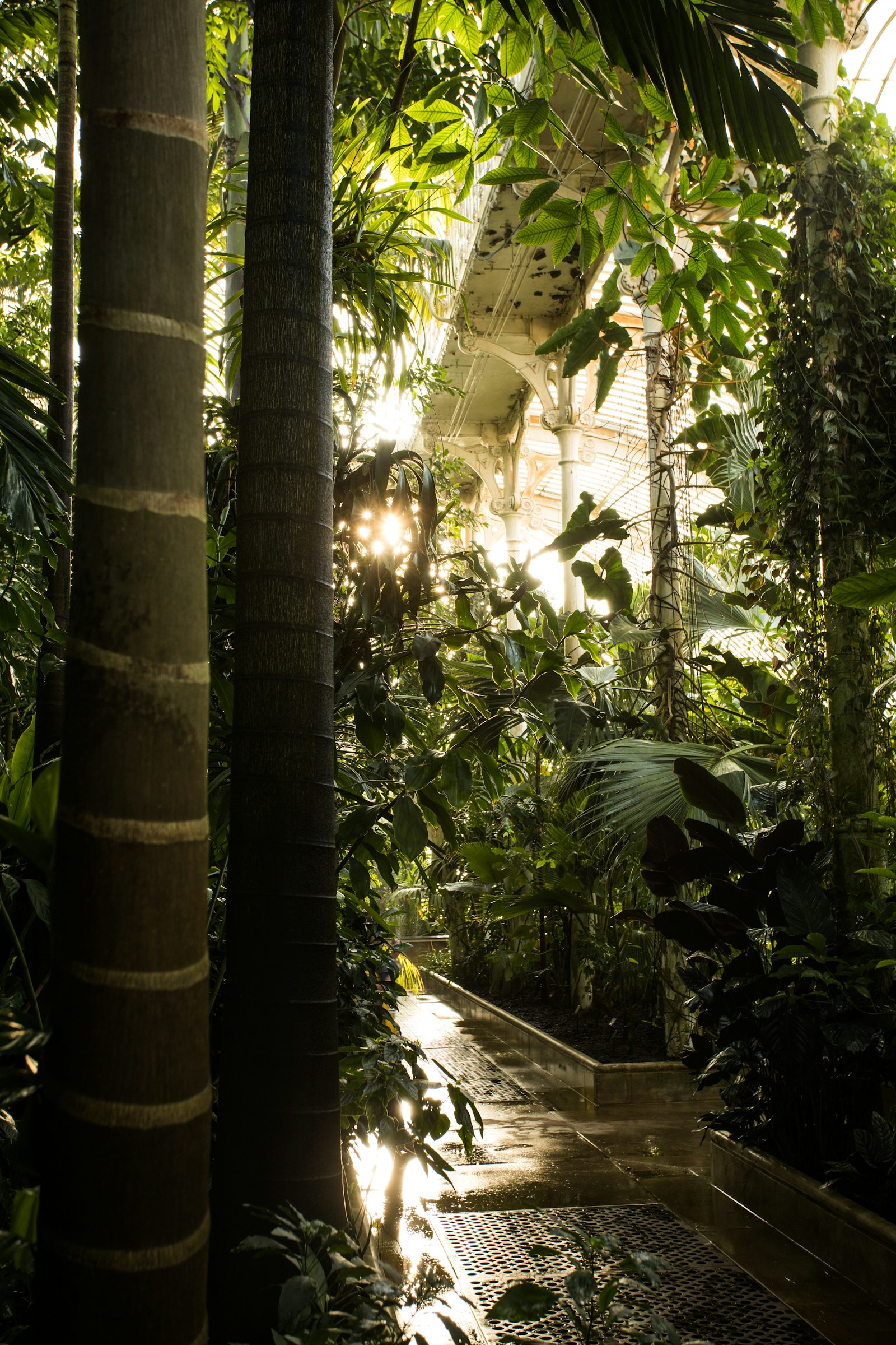 Canon EOS 5D Mark IV + Canon EF 17-40mm F4L USM sample photo. Green-leafed trees during daytime photography