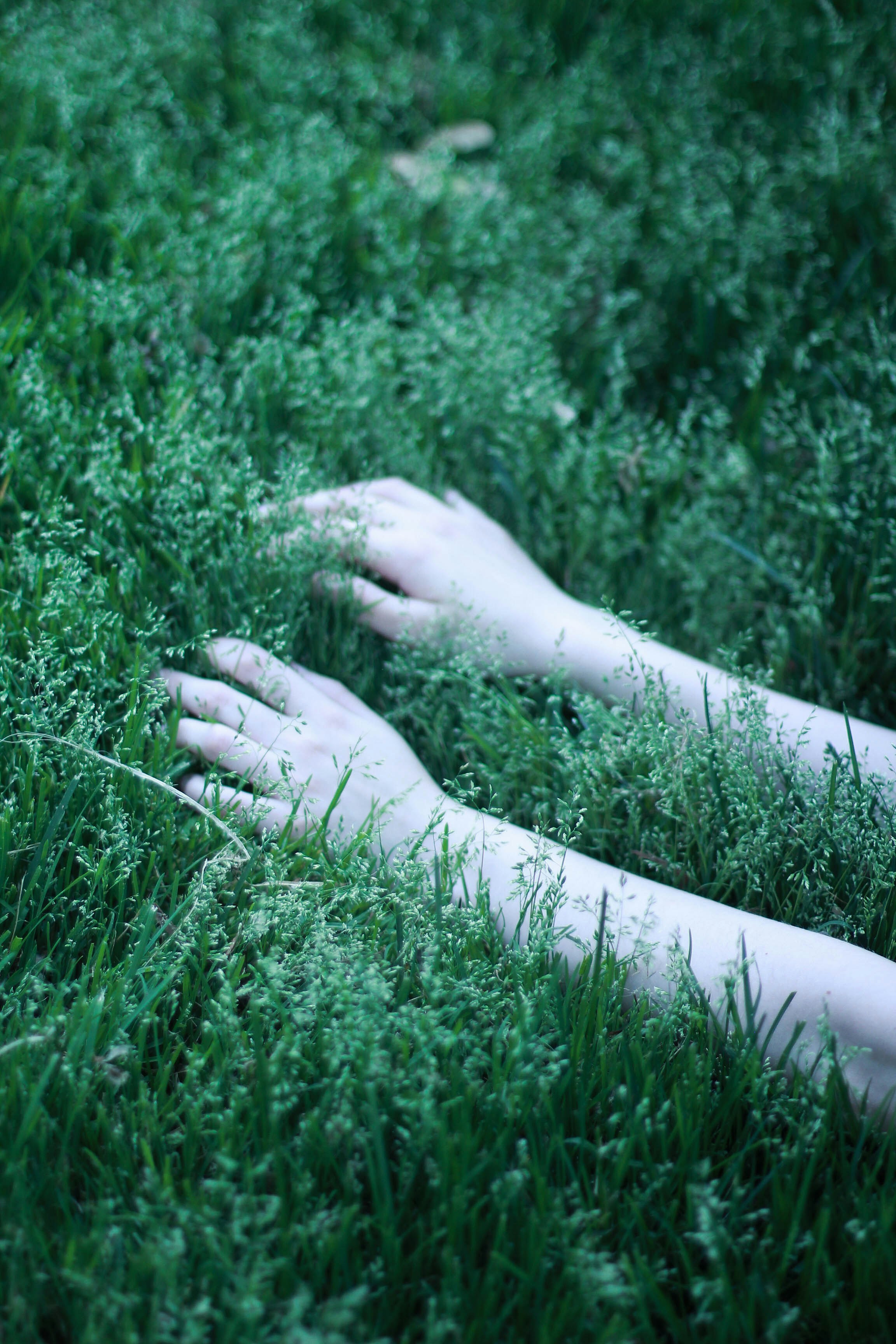 Photo by meghanschiereck