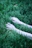 Delicate female hands resting on a bed of green grass with sunlight filtering through nearby trees.