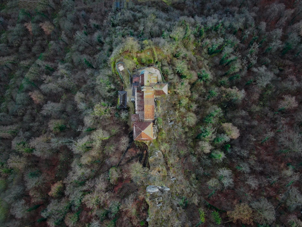 Fotografia aérea de casa marrom no meio da floresta