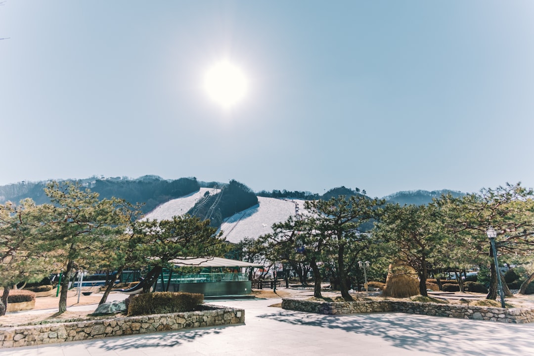 Hill station photo spot 1290-14 Palbong-ri Gapyeong-gun