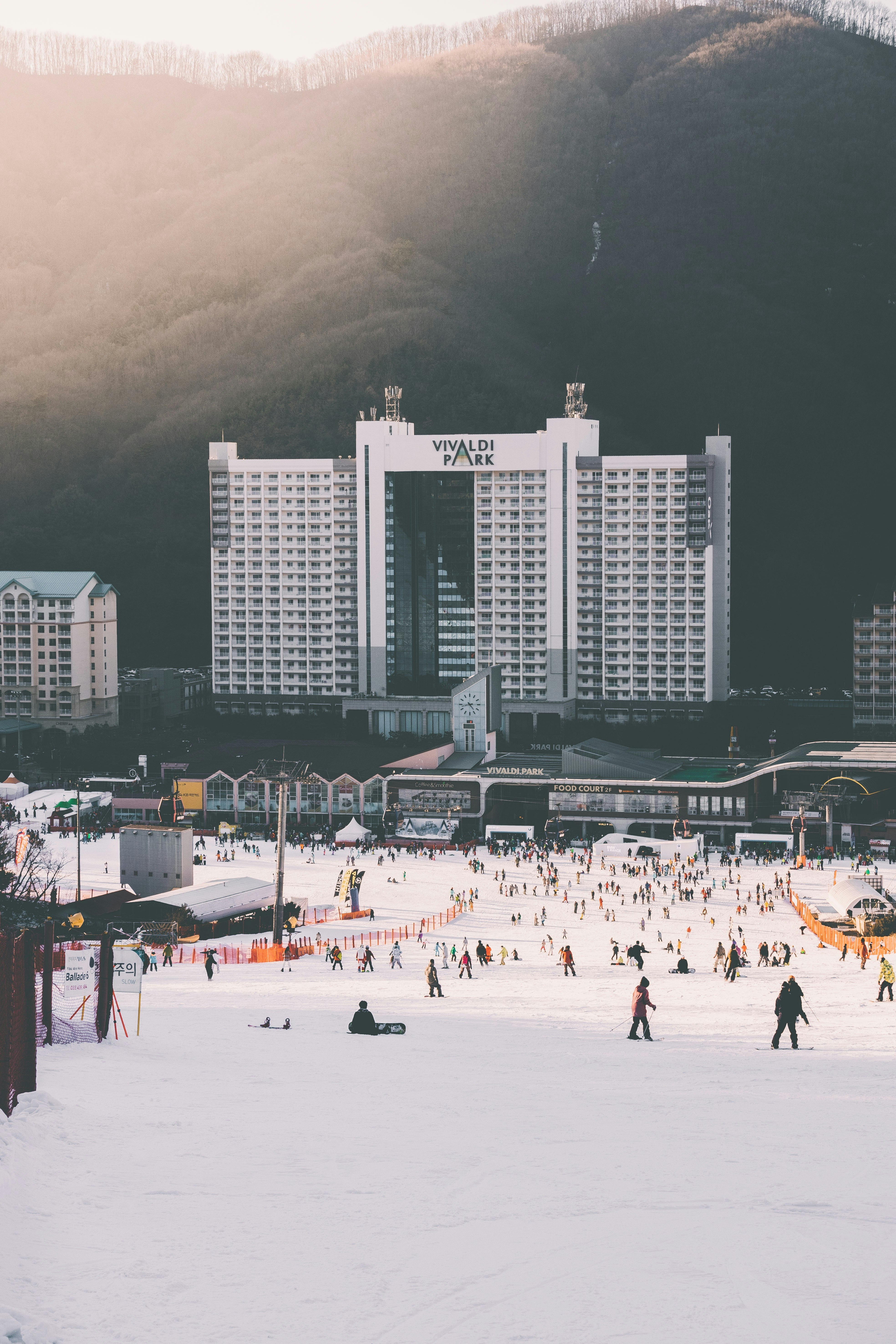 people on shore during daytime