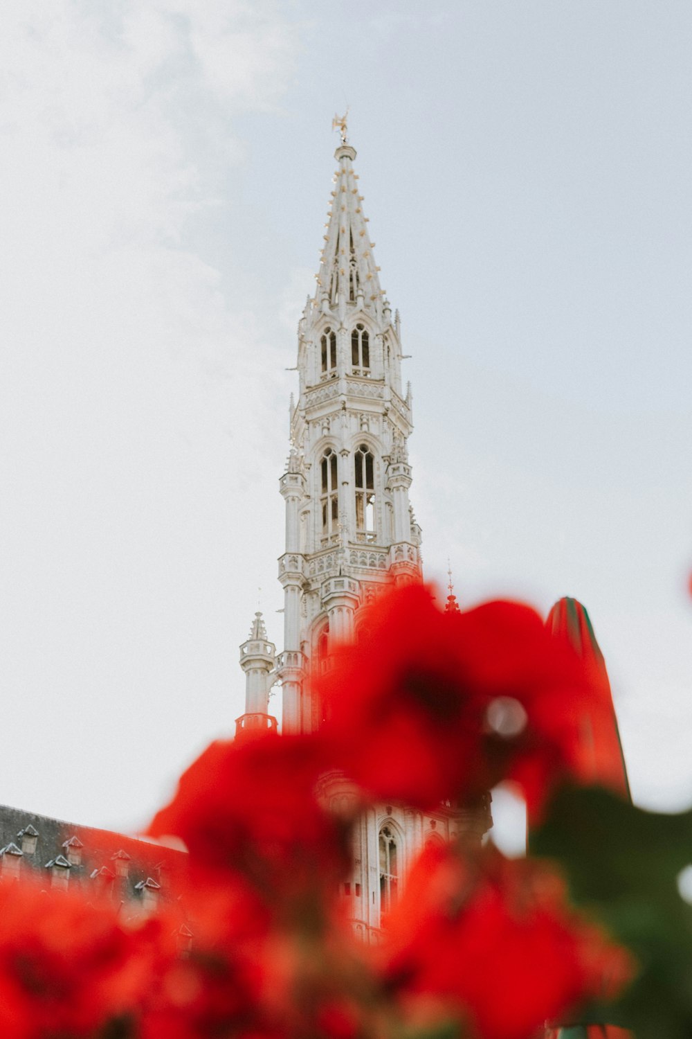 white tower building view from red flower